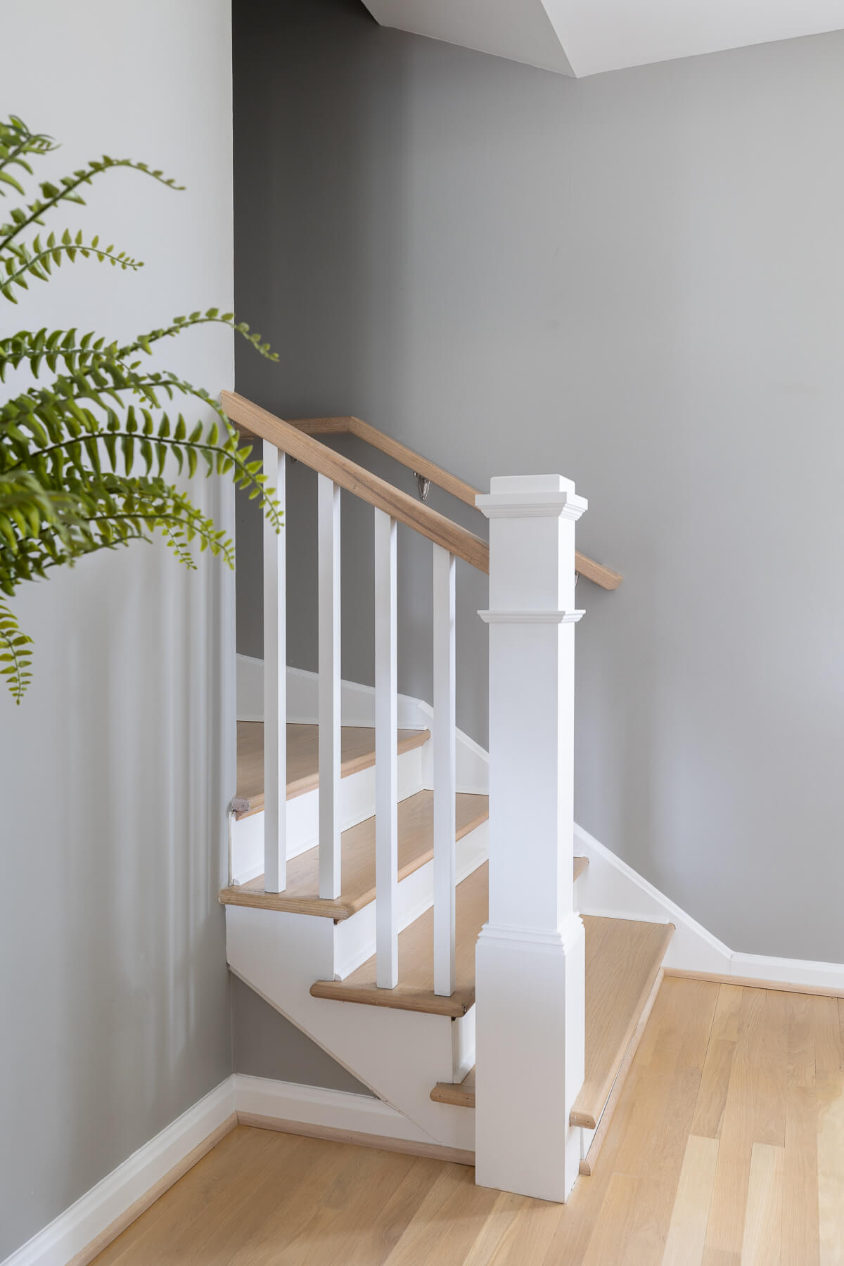 003 11501 Valley View Rd Internet